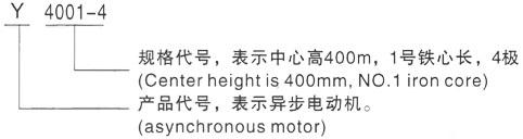 西安泰富西玛Y系列(H355-1000)高压YJTGKK4503-4三相异步电机型号说明